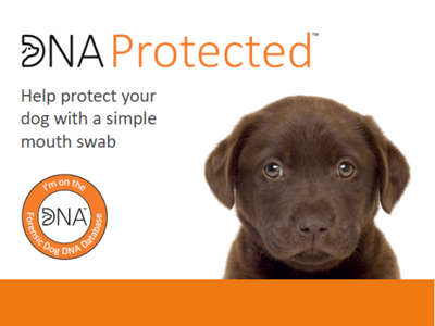 Featured Innovation - DNA Protected and the Forensic Dog DNA Database